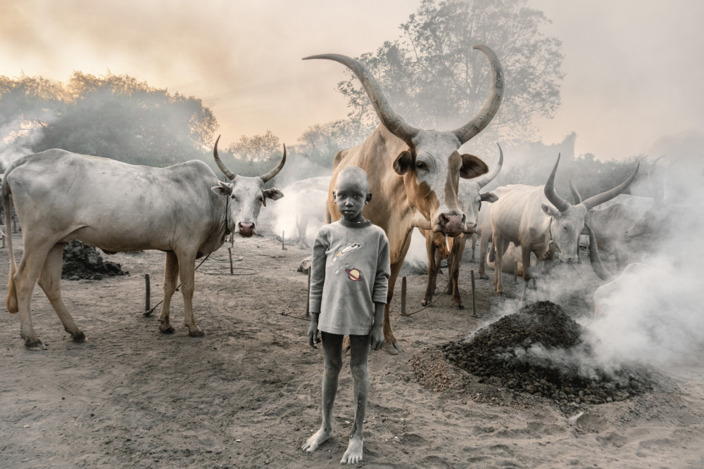 A young herder and his cows von Trevor Cole