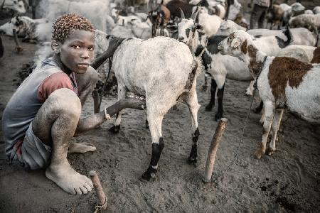 Milking my goats