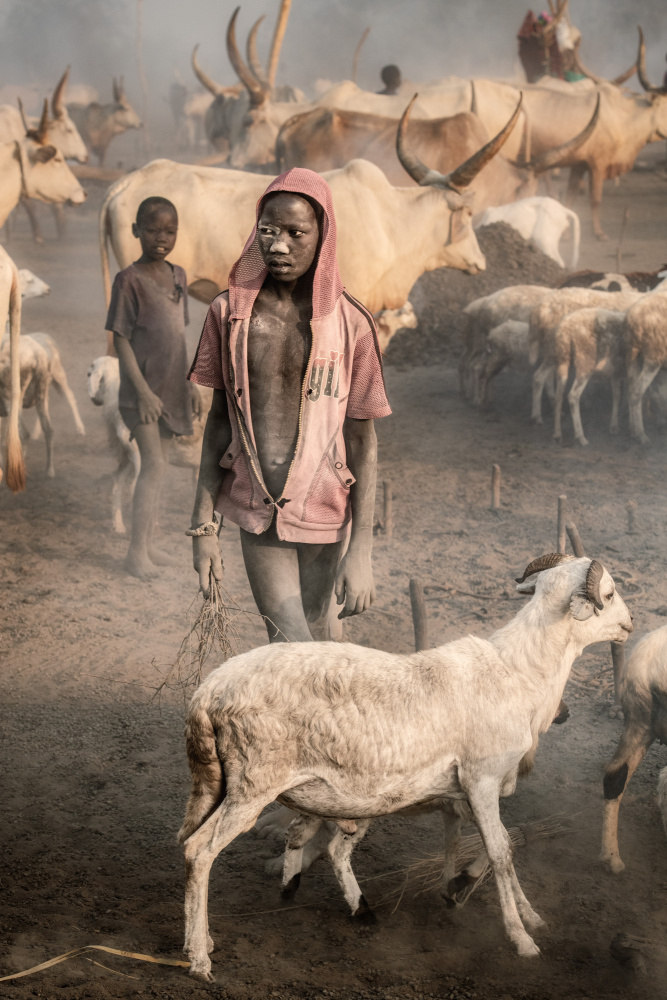 Young shepherd von Trevor Cole