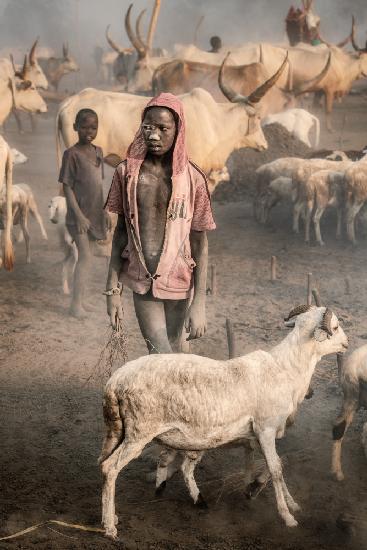 Young shepherd