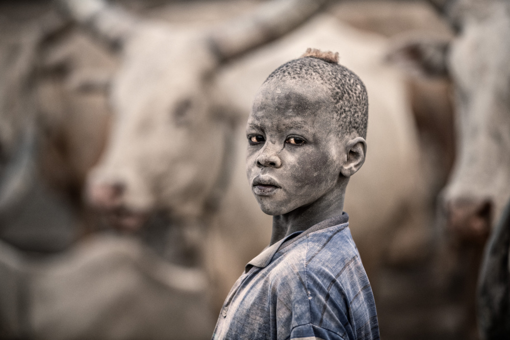 Young Mundari herder von Trevor Cole