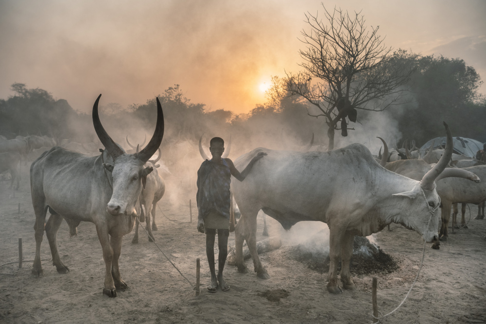 Young Mundari girl in camp von Trevor Cole