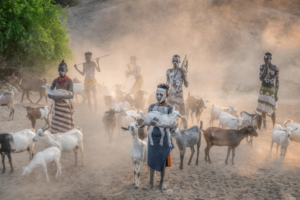 Kara shepherding von Trevor Cole