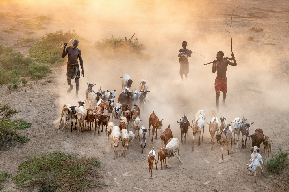 Kara goat herders von Trevor Cole