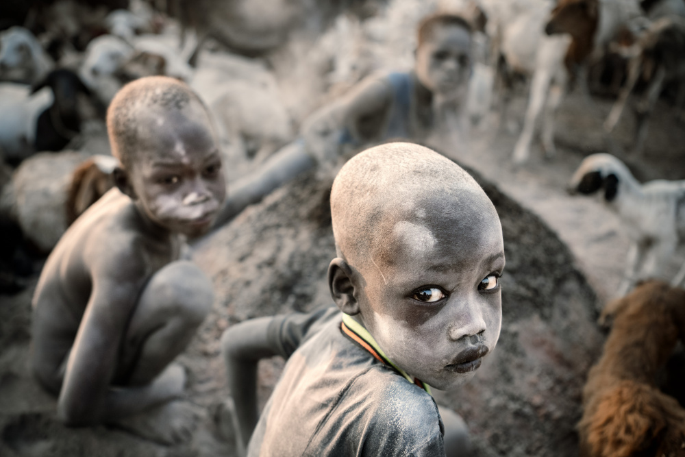 Little Mundari shepherd von Trevor Cole