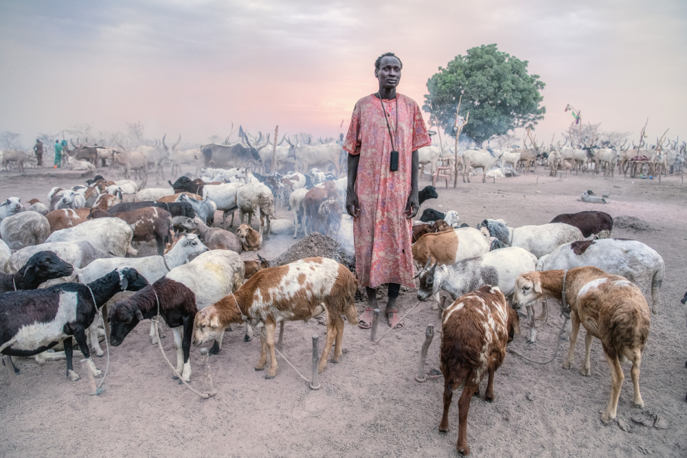 Mundari shepherd von Trevor Cole