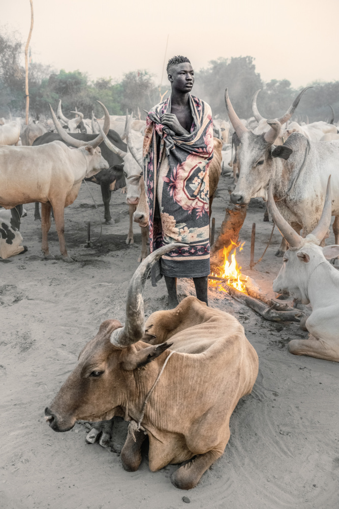 Mundari herder at dawn von Trevor Cole