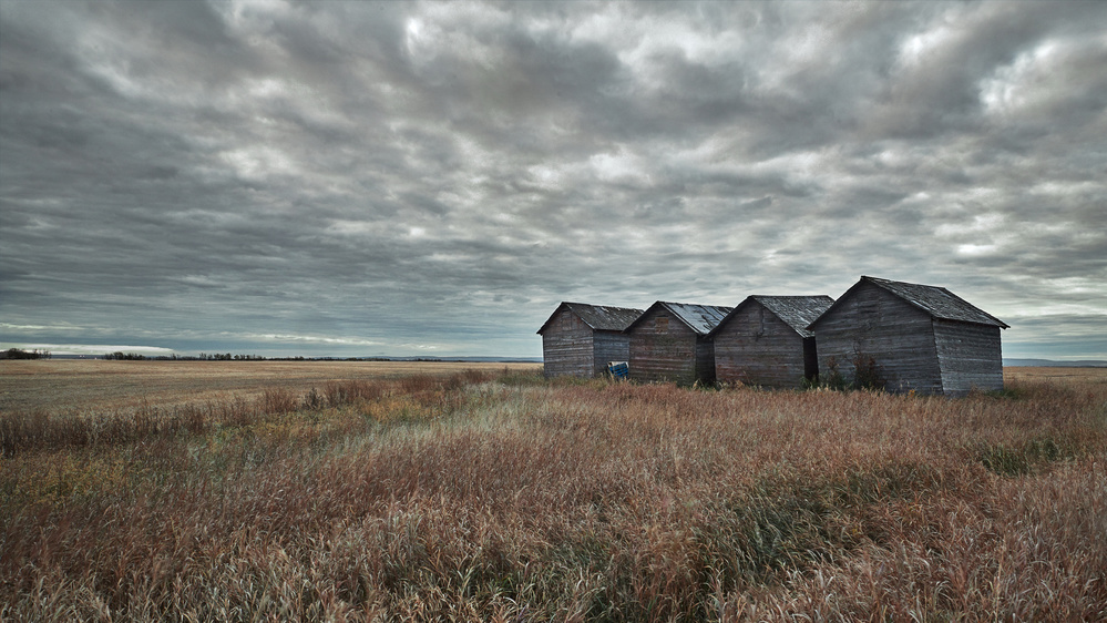 Autumn Morning von Trevor Reeves