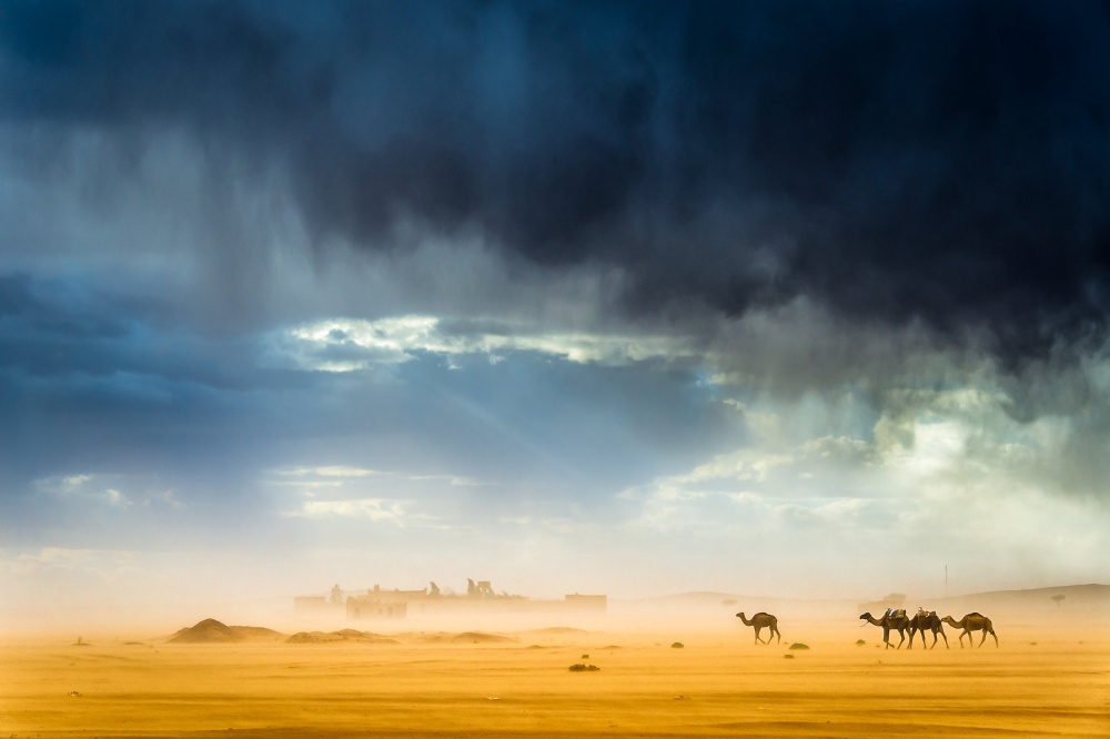 Storm, wind, rain, sand, camels and incredible light in the desert von Tristan Shu