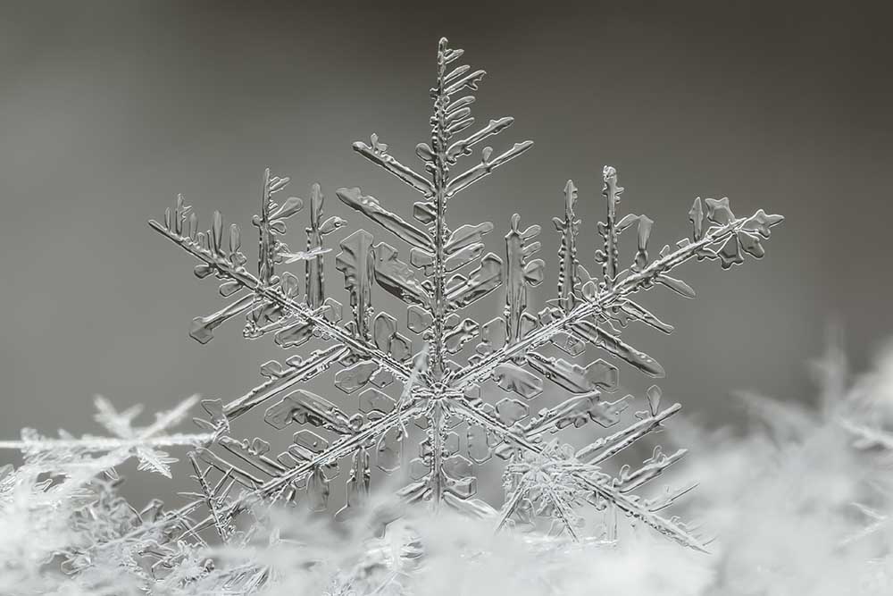 Schneeflocke von Tsolmon Naidandorj