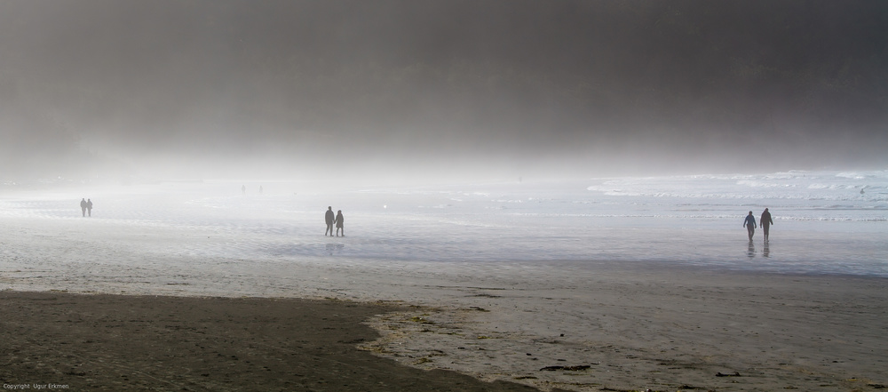 In a foggy day von Ugur Erkmen