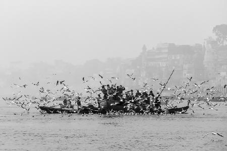 Early Morning on the Ganges