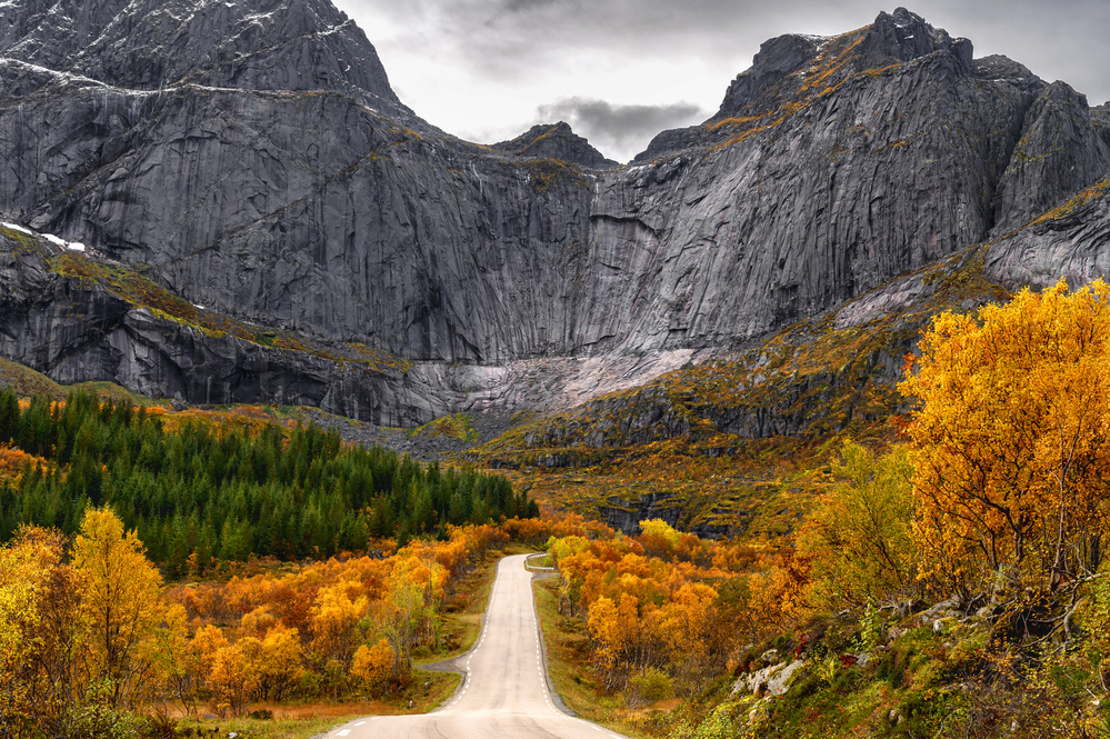 Road to the Wall von Łukasz Winiarski