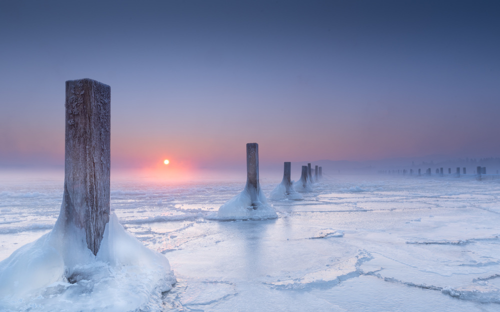 Icy von Ulrike Eisenmann