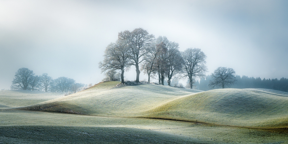 It is not in tuscany von Ulrike Eisenmann