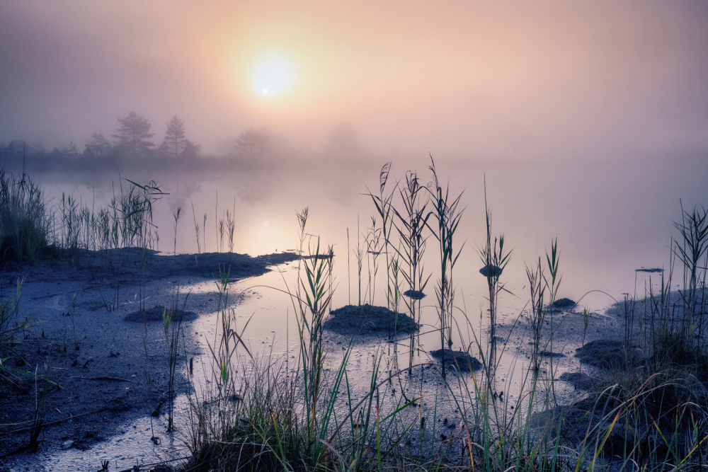 Spooky hour von Ulrike Eisenmann