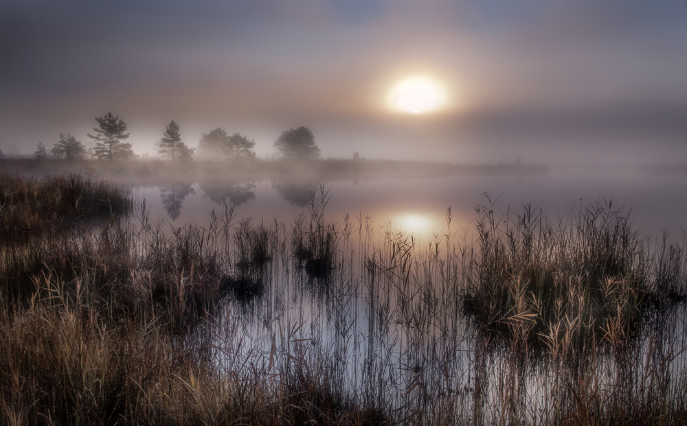 Autumn At the lake von Ulrike Eisenmann