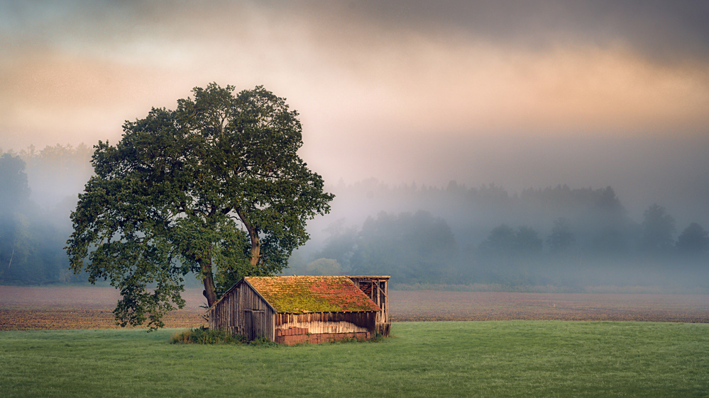 Autumn Impression von Ulrike Eisenmann