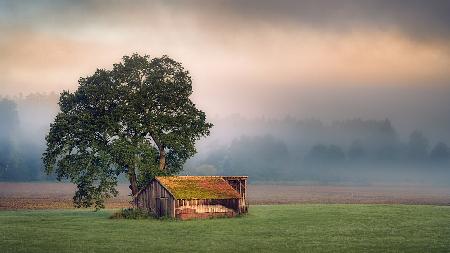 Autumn Impression