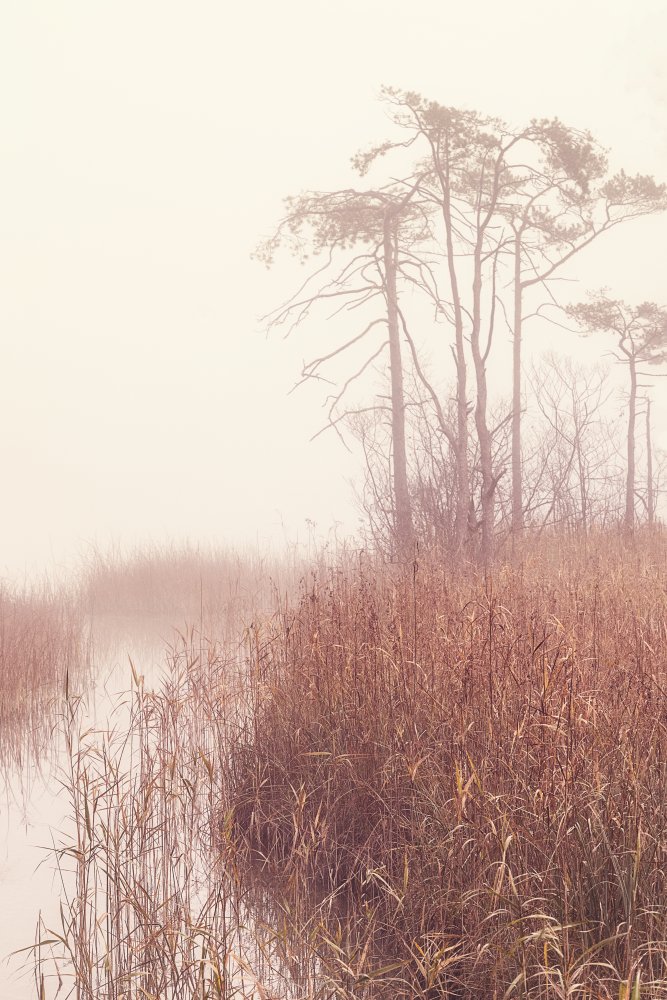 Autumn morning von Ulrike Eisenmann