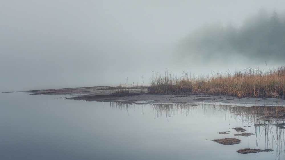 Autumn Mood von Ulrike Eisenmann