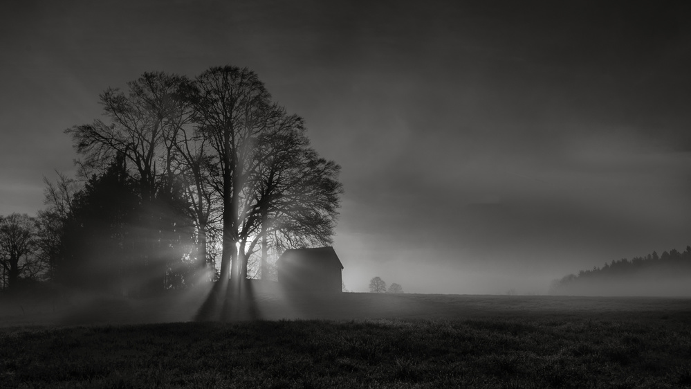 Expecting a beautiful day von Ulrike Eisenmann