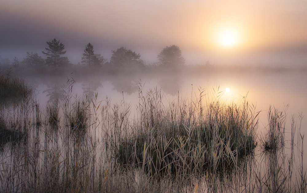 Cold Autumn Morning von Ulrike Eisenmann