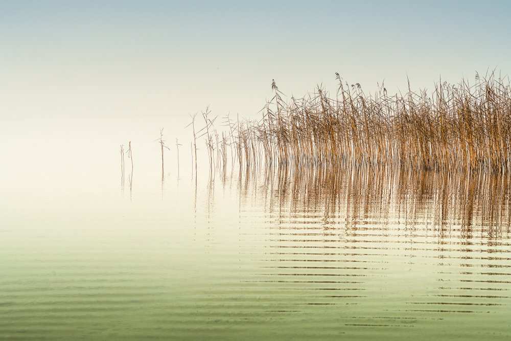 Little Waves von Ulrike Eisenmann