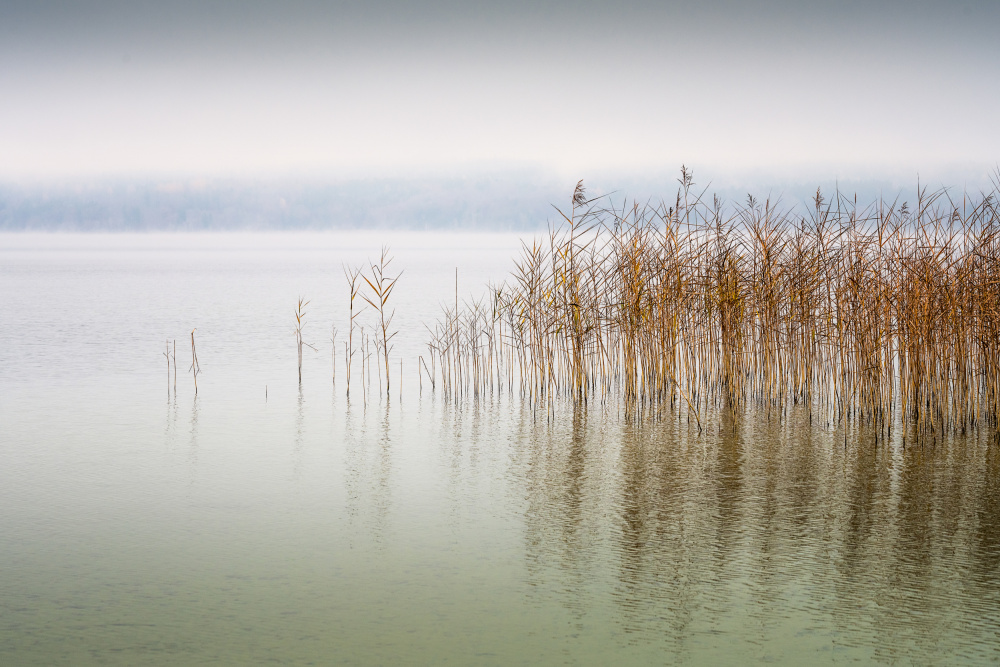 Little Waves von Ulrike Eisenmann