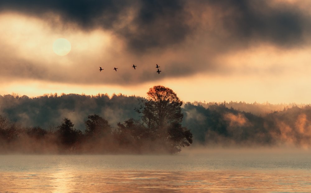 In the morning at the lake von Ulrike Eisenmann