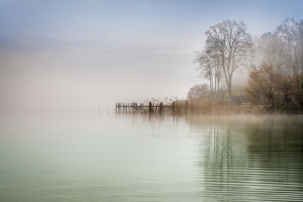 Foggy Spring Morning von Ulrike Eisenmann