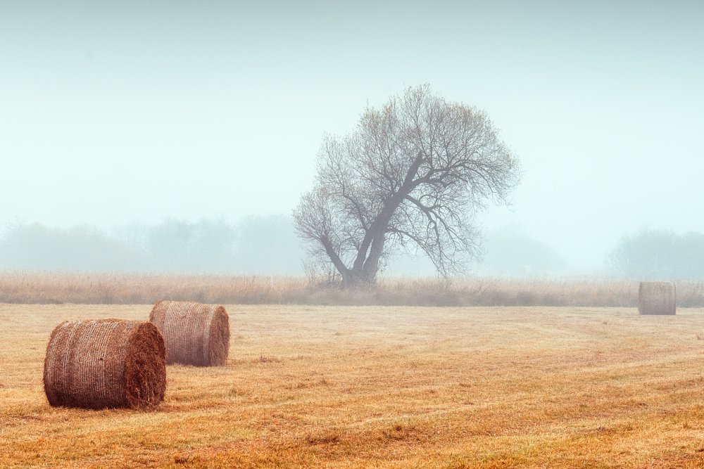 November Mood von Ulrike Eisenmann