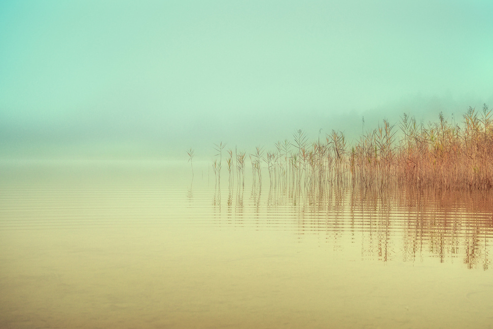 Just a peaceful moment von Ulrike Eisenmann