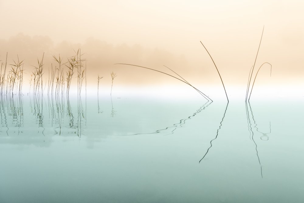 Silence von Ulrike Eisenmann