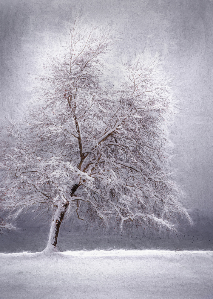 Winter at the lake von Ulrike Eisenmann