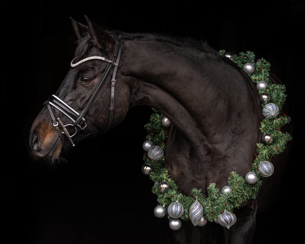 Christmas Horse von Ulrike Leinemann