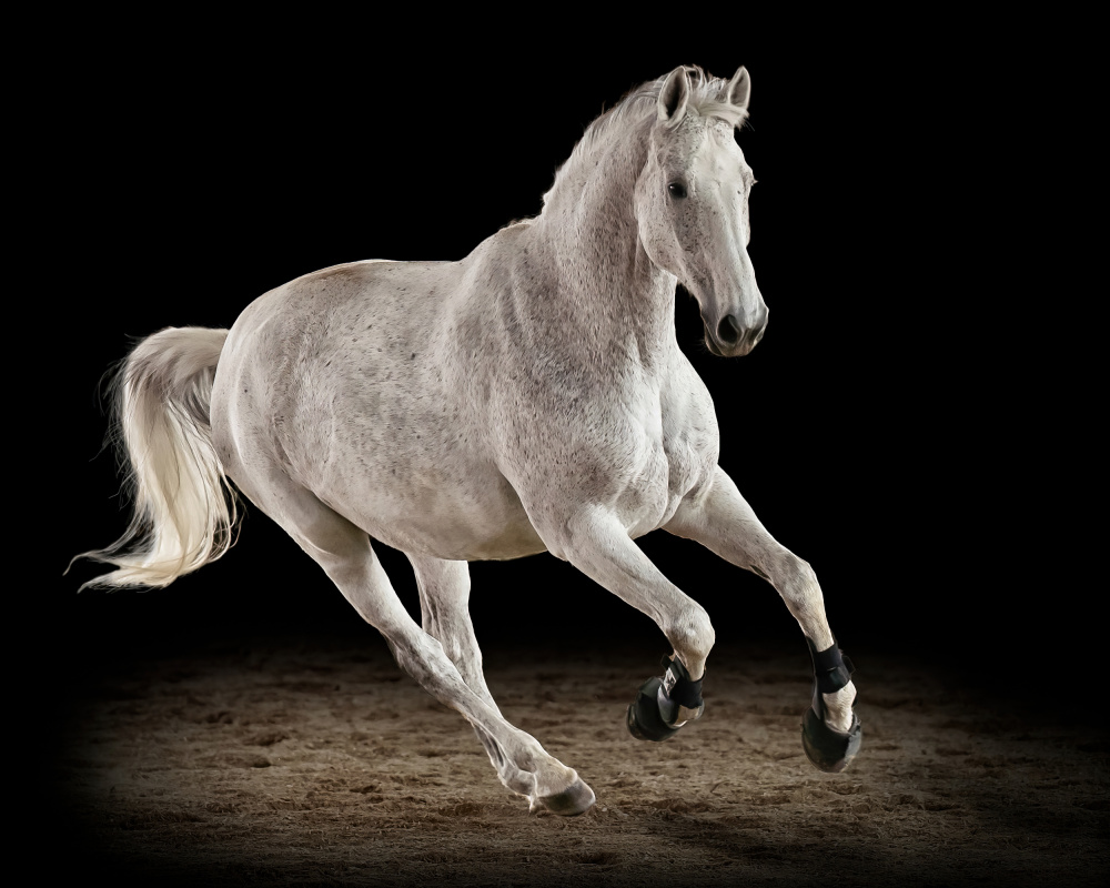 White Dancer von Ulrike Leinemann