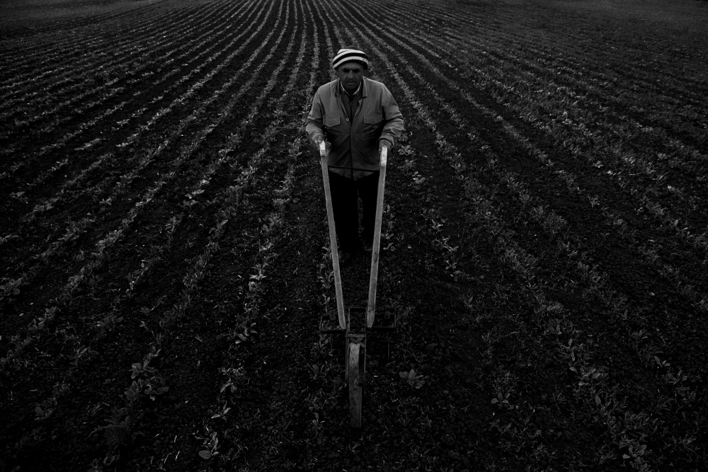 The farmer into the line von umitbinzet