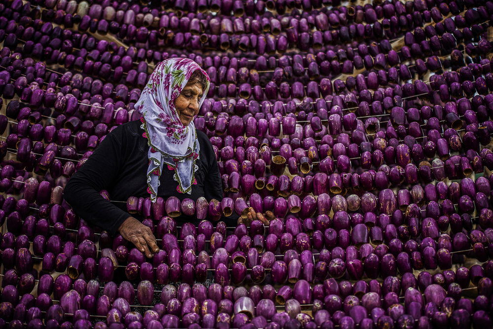 purple von Ummu Nisan Kandilcioglu