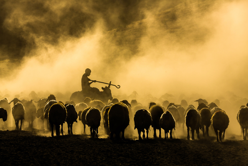 sheep shepherd von Ummu Nisan Kandilcioglu