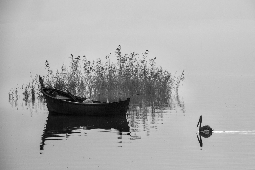 lake diary 10 von Ummu Nisan Kandilcioglu