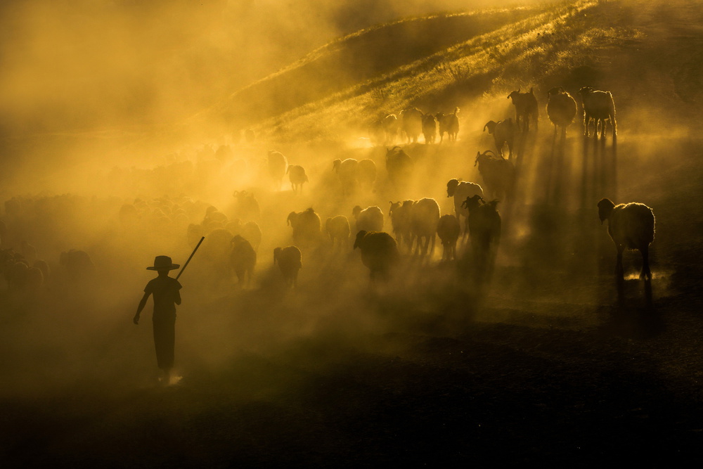 Dusty journey von Ummu Nisan Kandilcioglu