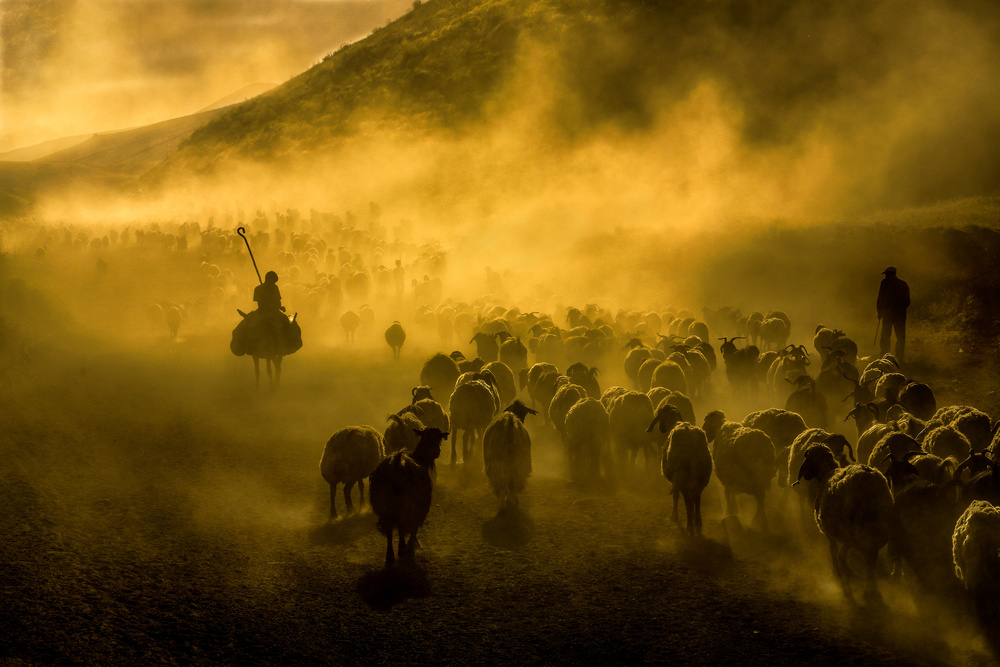 dusty journey von Ummu Nisan Kandilcioglu