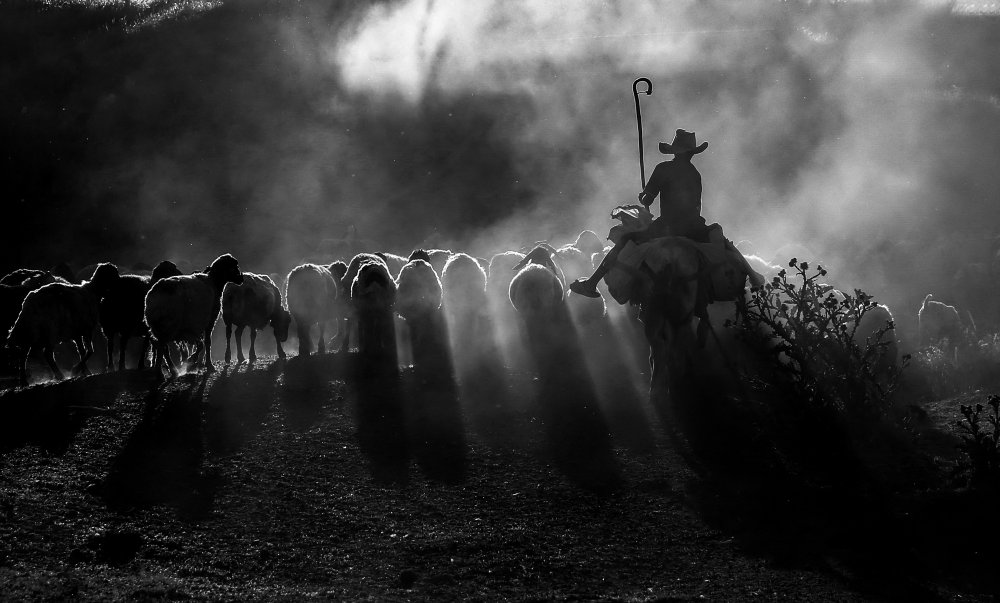 dust smoke von Ummu Nisan Kandilcioglu