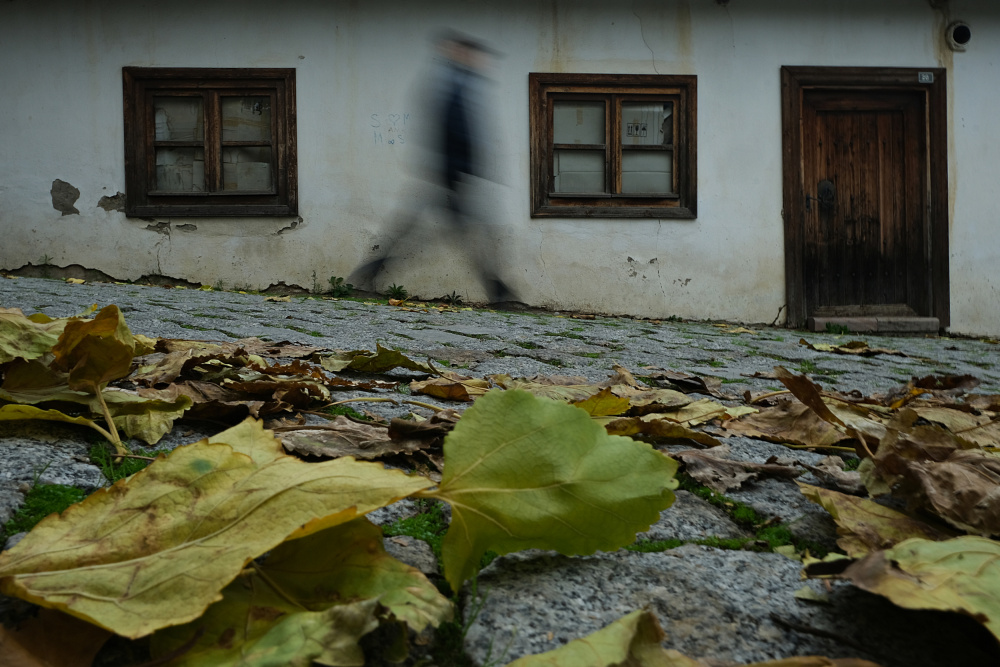 Leaves And Man von UMUT DOGU SAYLI