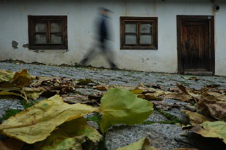 Leaves And Man