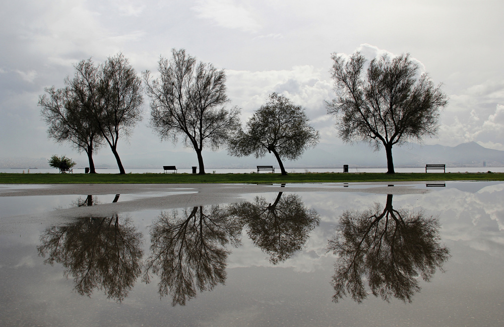 Reflection After Rain von UMUT DOGU SAYLI