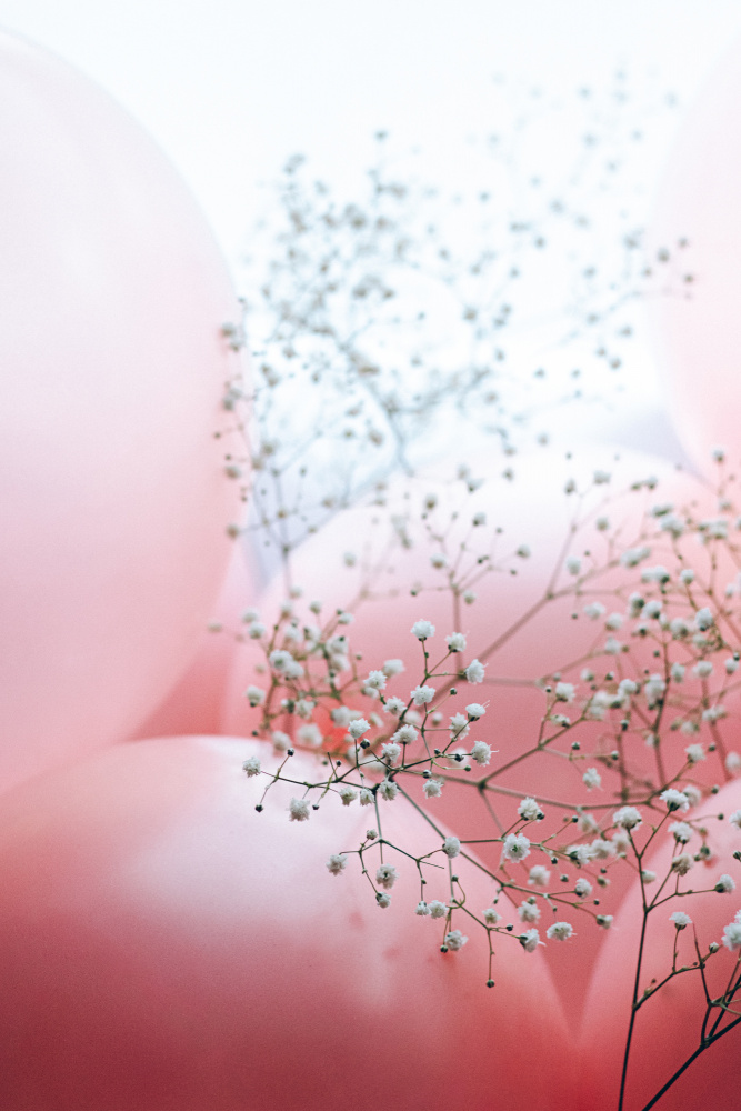 Blooms and Balloons - Moment like this von uplusmestudio