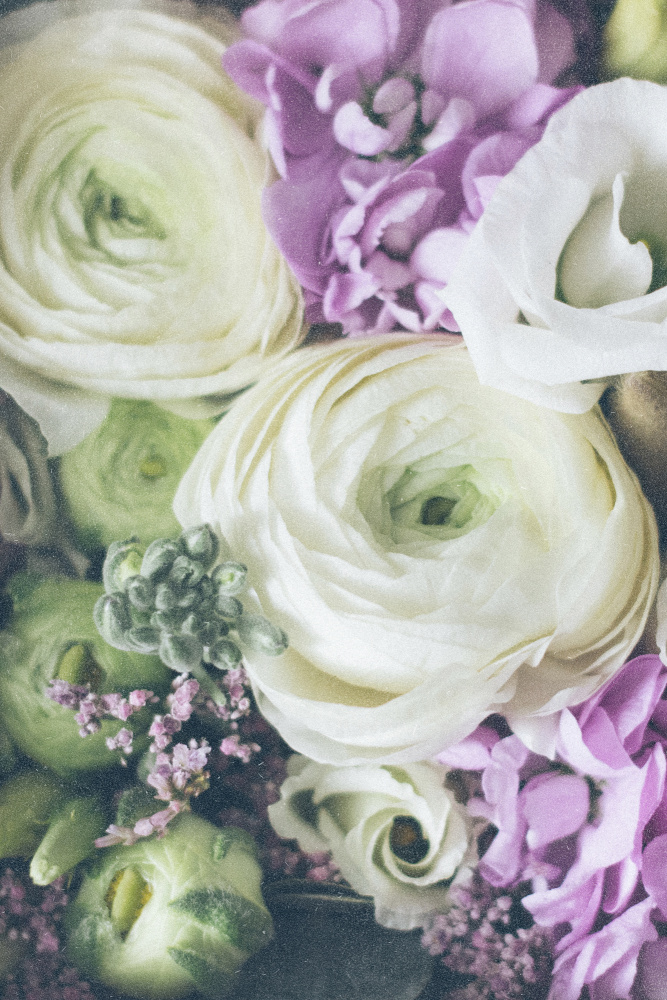 Lovely Ranunculus von uplusmestudio