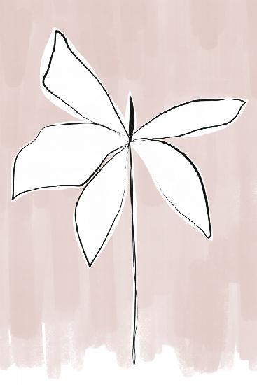 Bordered Flower